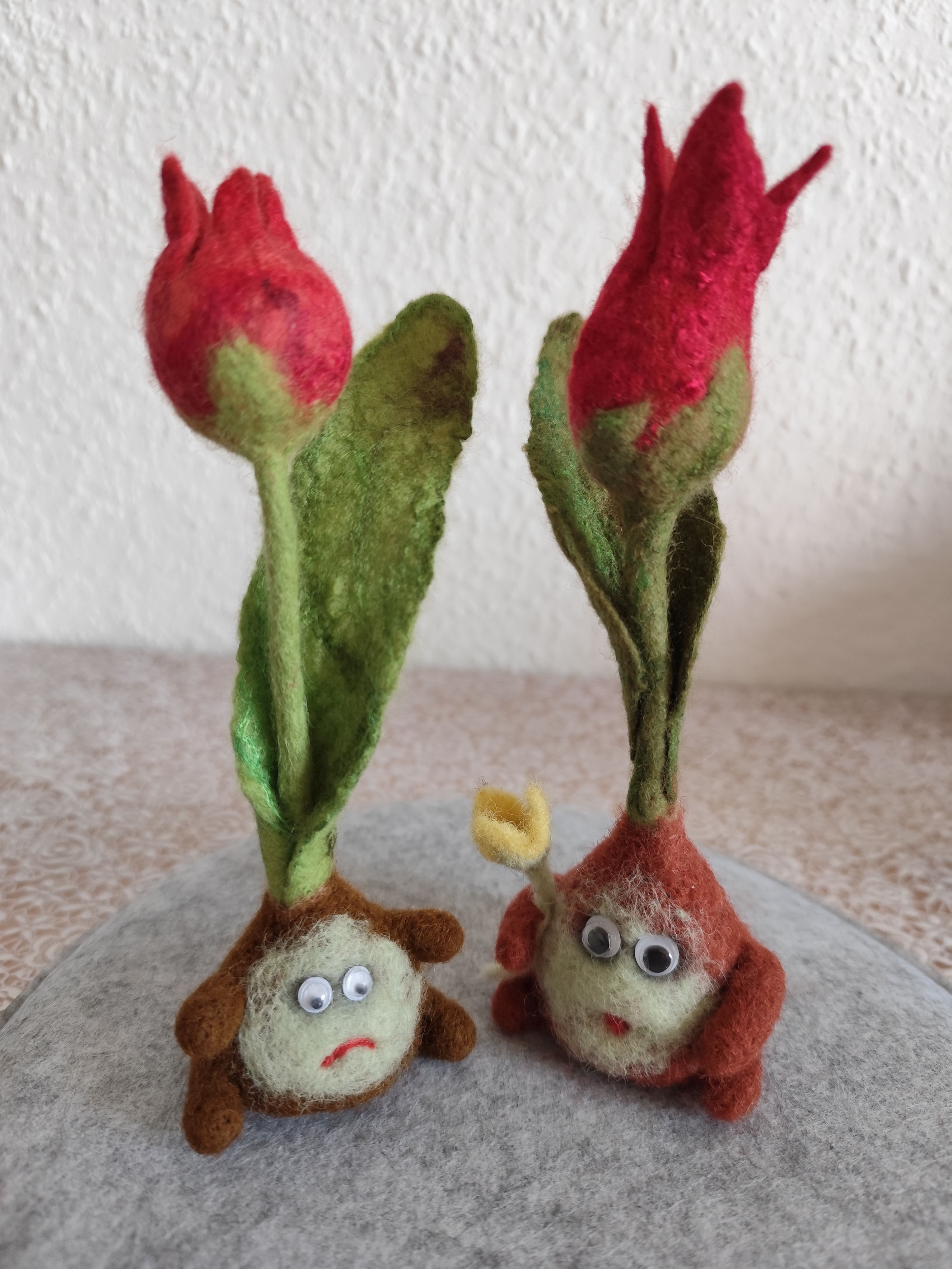 Tulpenzwiebel